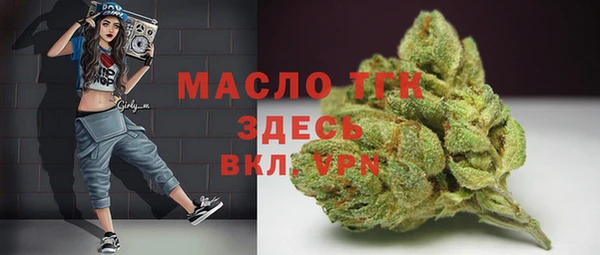 spice Богородск