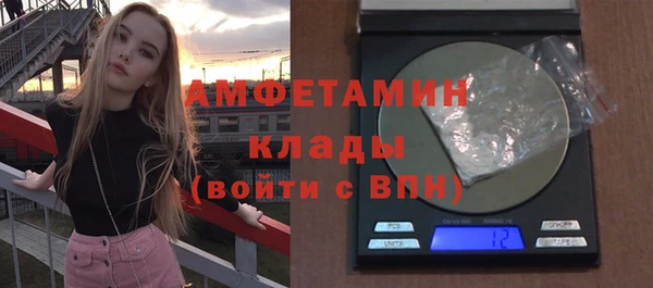 spice Богородск