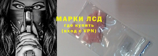 spice Богородск