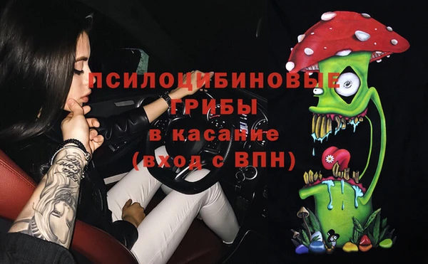 кокс Богородицк