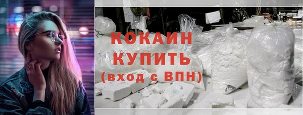 кокс Богородицк