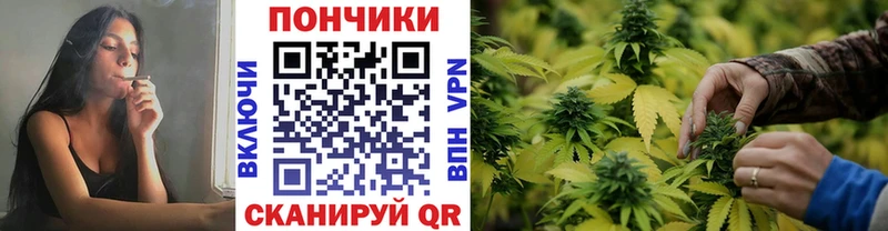 мега вход  Комсомольск  сайты даркнета как зайти  Марихуана конопля 